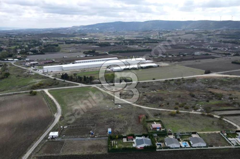 GÖKÇEALİ MAHALLESİ SATILIK 486 M2 TARLA 