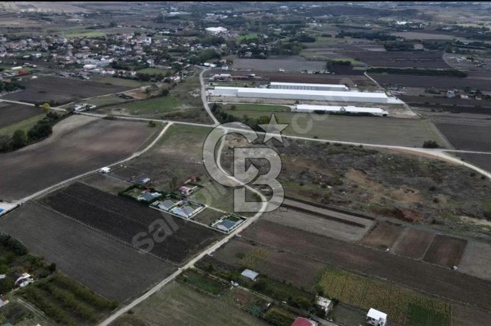 GÖKÇEALİ MAHALLESİ SATILIK 486 M2 TARLA 