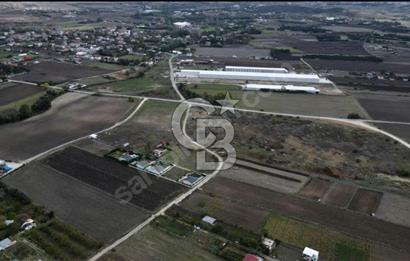 GÖKÇEALİ MAHALLESİ SATILIK 486 M2 TARLA 