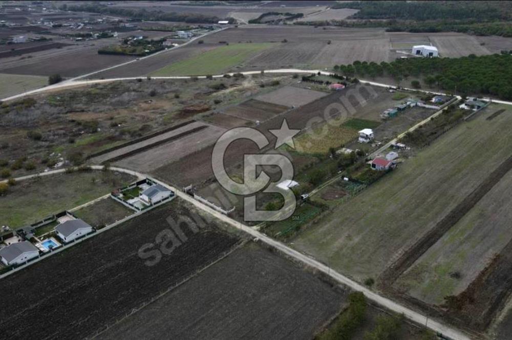 GÖKÇEALİ MAHALLESİ SATILIK 486 M2 TARLA 