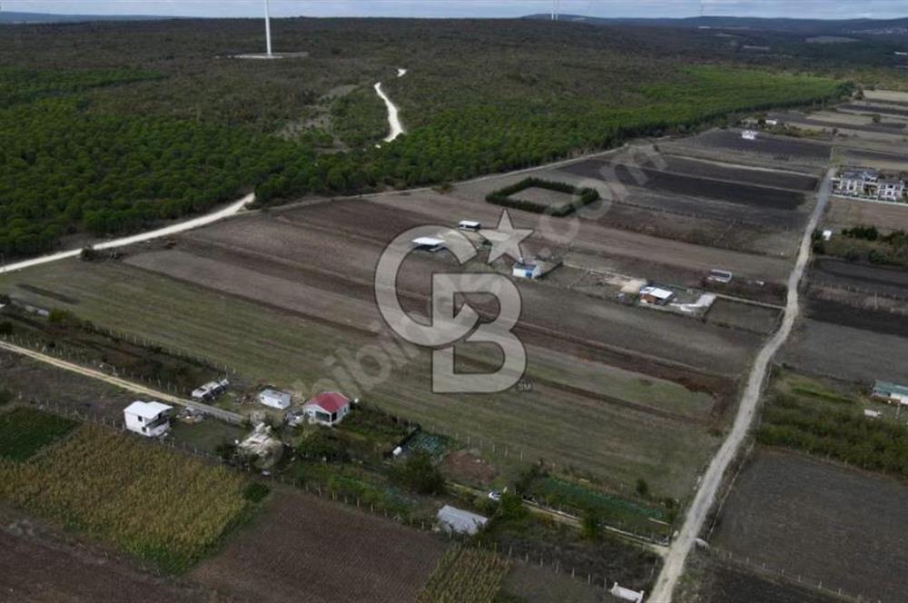 GÖKÇEALİ MAHALLESİ SATILIK 486 M2 TARLA 