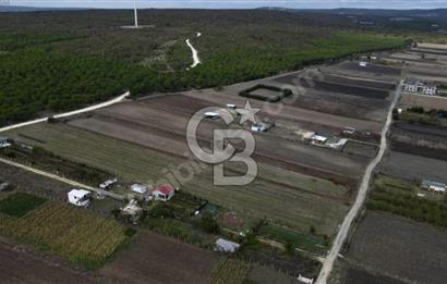 GÖKÇEALİ MAHALLESİ SATILIK 486 M2 TARLA 