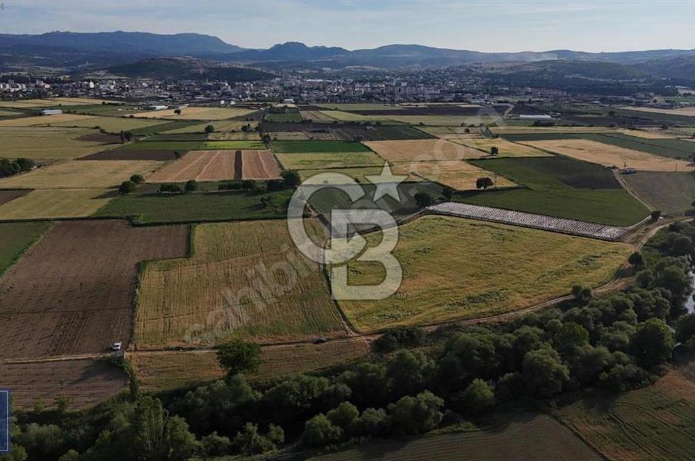 EZİNE SEFERŞAH MAHALLESİNDE 14712METREKRE MÜCAVİR ALANDA SATILIK