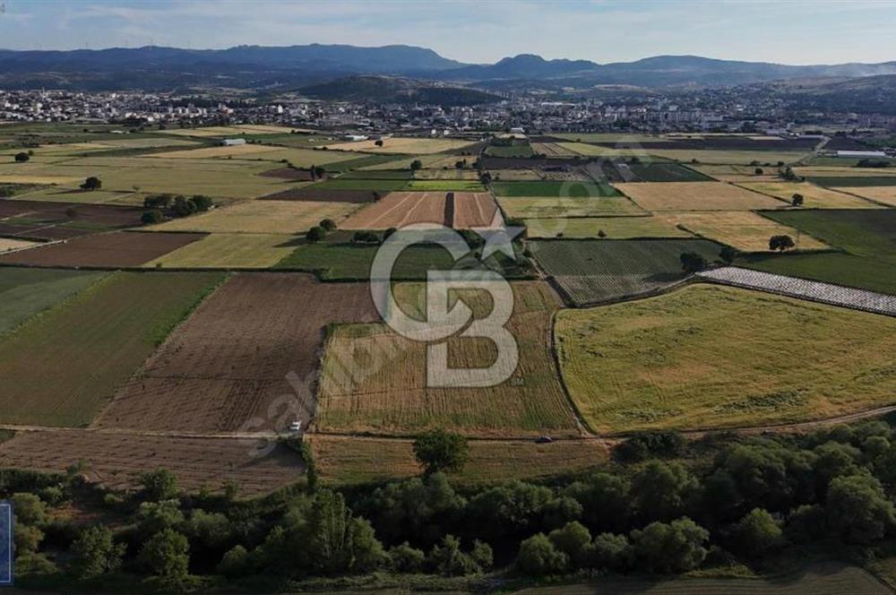 EZİNE SEFERŞAH MAHALLESİNDE 14712METREKRE MÜCAVİR ALANDA SATILIK