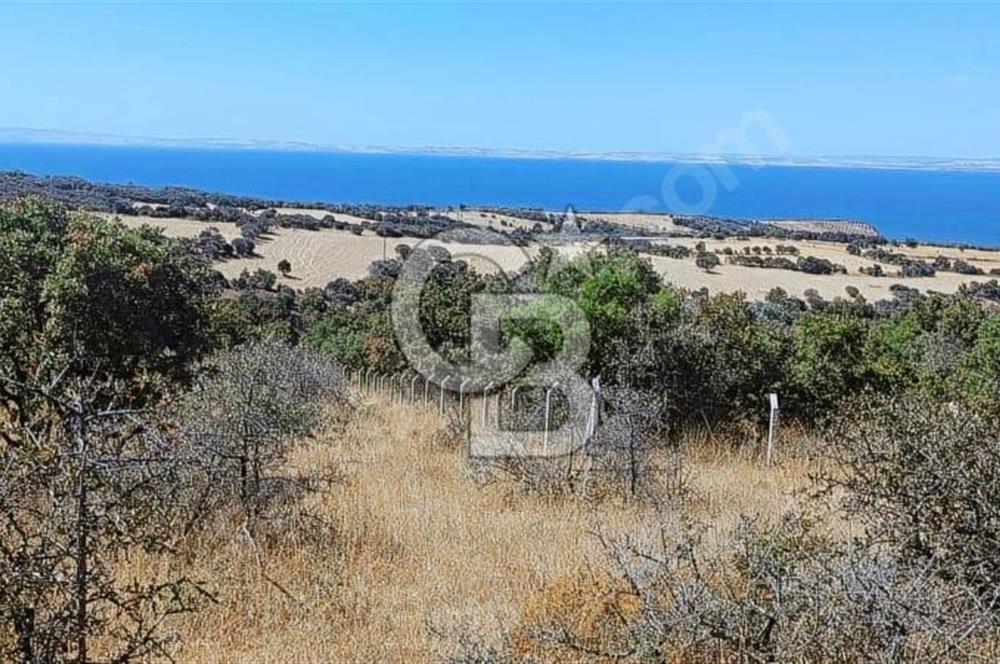 47.533 m² BOĞAZ MANZARALI FIRSAT ARAZİ