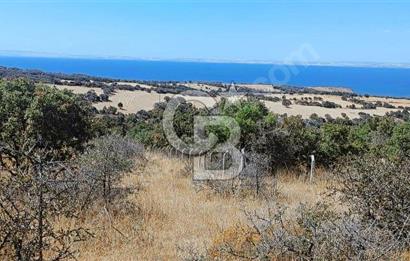 47.533 m² BOĞAZ MANZARALI FIRSAT ARAZİ