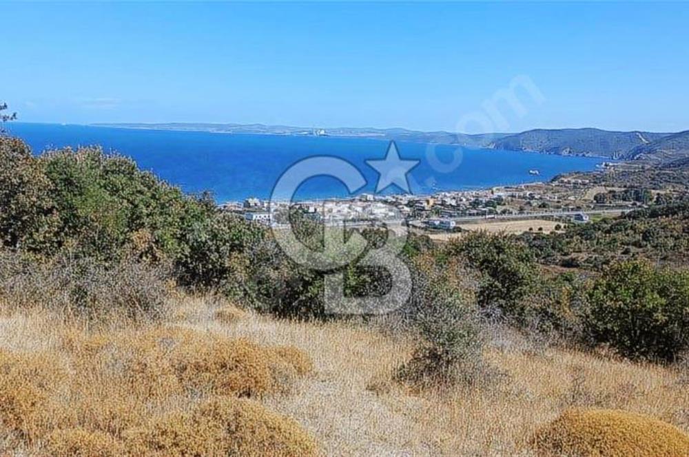 47.533 m² BOĞAZ MANZARALI FIRSAT ARAZİ