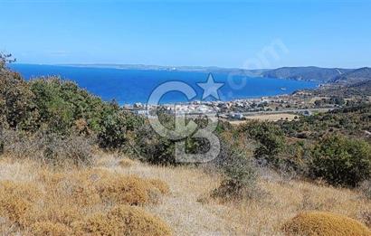 47.533 m² BOĞAZ MANZARALI FIRSAT ARAZİ