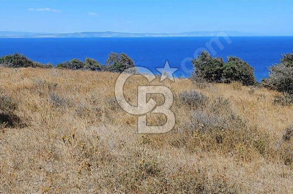 47.533 m² BOĞAZ MANZARALI FIRSAT ARAZİ