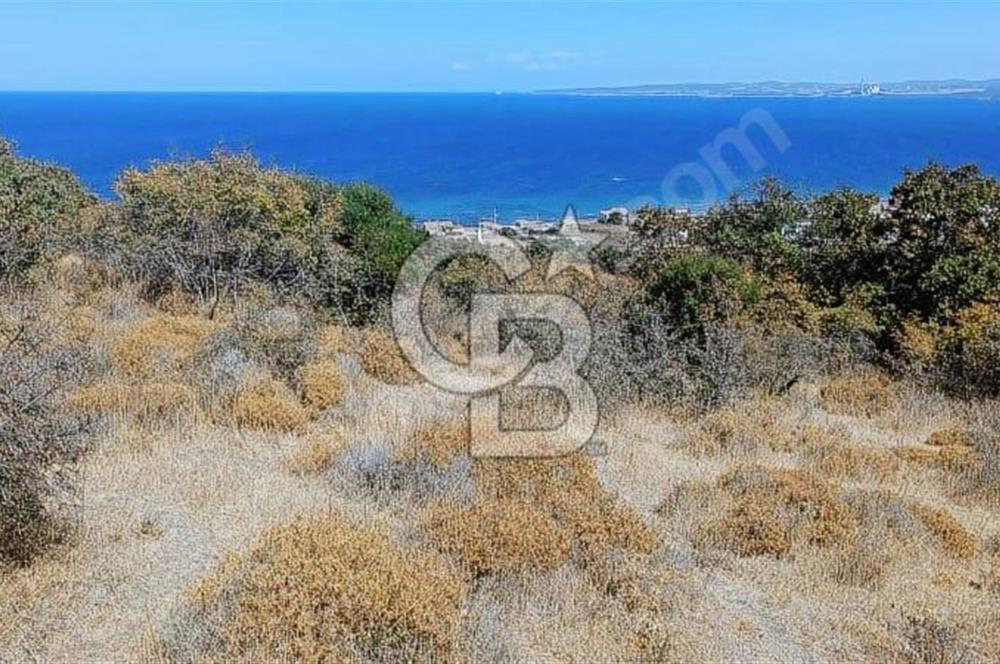 47.533 m² BOĞAZ MANZARALI FIRSAT ARAZİ