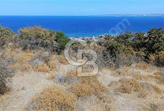 47.533 m² BOĞAZ MANZARALI FIRSAT ARAZİ