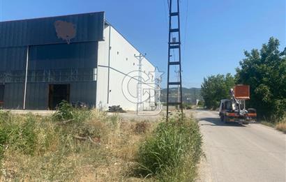 YALOVA ALTINOVA TERSANELER BÖLGESİ KİRALIK 800 m2 HANGAR DEPO !