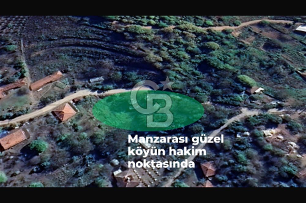 YATIRIMA uygun RUHSATLI ARSA HAZIRDA 2 ADET OBA EVİ VE CEVİZ AĞAÇLARI