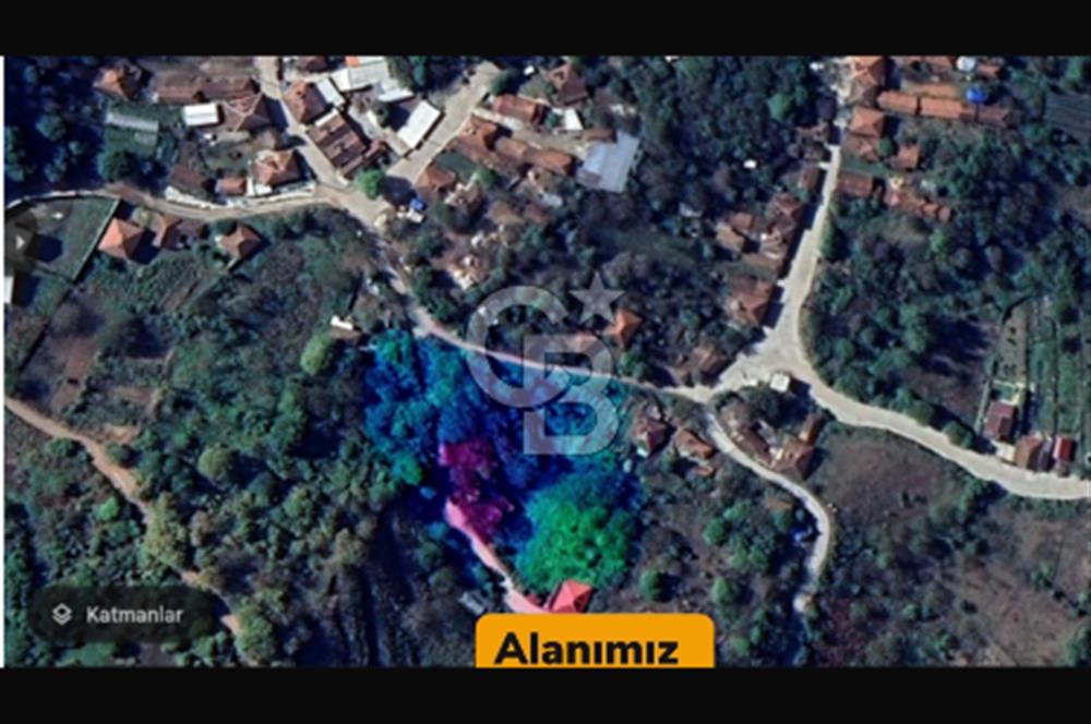 YATIRIMA uygun RUHSATLI ARSA HAZIRDA 2 ADET OBA EVİ VE CEVİZ AĞAÇLARI