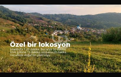 YATIRIMA uygun RUHSATLI ARSA HAZIRDA 2 ADET OBA EVİ VE CEVİZ AĞAÇLARI