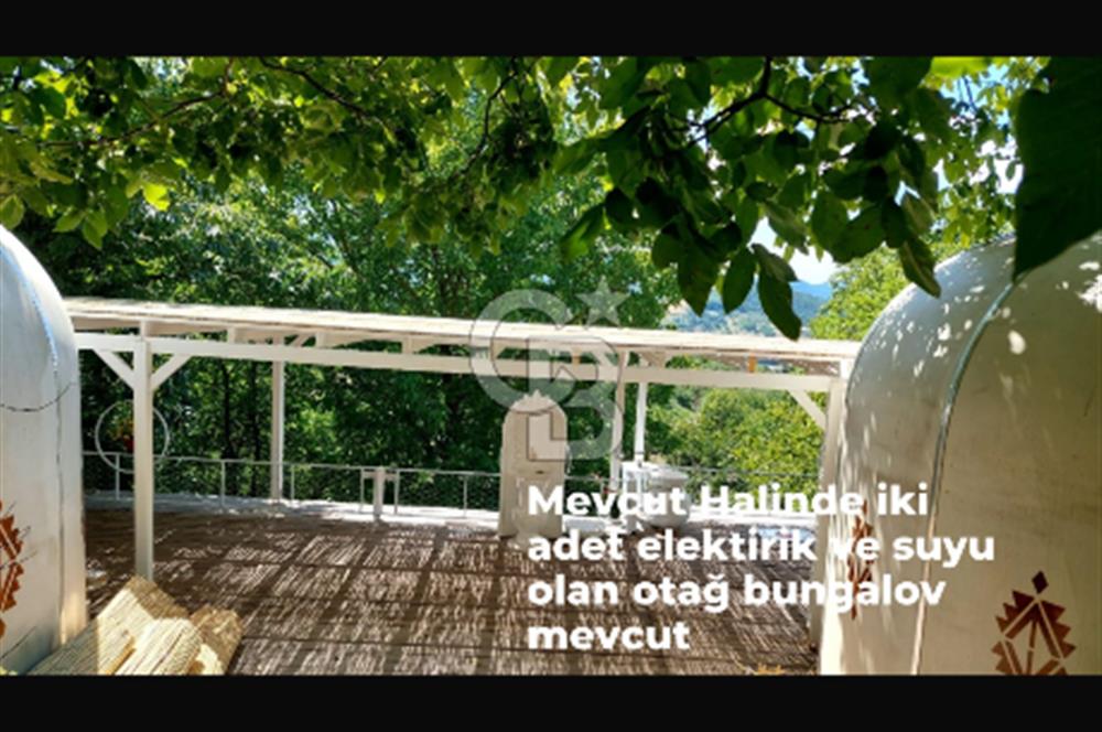YATIRIMA uygun RUHSATLI ARSA HAZIRDA 2 ADET OBA EVİ VE CEVİZ AĞAÇLARI