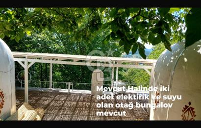 YATIRIMA uygun RUHSATLI ARSA HAZIRDA 2 ADET OBA EVİ VE CEVİZ AĞAÇLARI