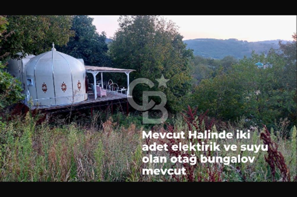 YATIRIMA uygun RUHSATLI ARSA HAZIRDA 2 ADET OBA EVİ VE CEVİZ AĞAÇLARI