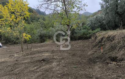 İZNİK DERBENT'TE 47M YOLA CEPHELİ YATIRIMLIK SATILIK ZEYTİNLİK