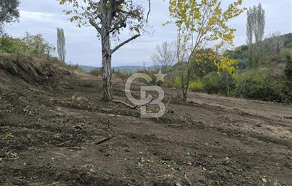İZNİK DERBENT'TE 47M YOLA CEPHELİ YATIRIMLIK SATILIK ZEYTİNLİK