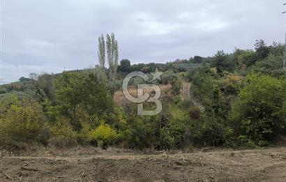 İZNİK DERBENT'TE 47M YOLA CEPHELİ YATIRIMLIK SATILIK ZEYTİNLİK