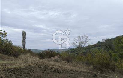 İZNİK DERBENT'TE 47M YOLA CEPHELİ YATIRIMLIK SATILIK ZEYTİNLİK