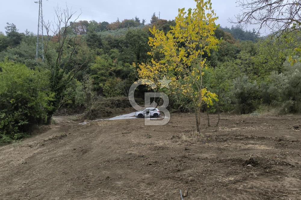 İZNİK DERBENT'TE 47M YOLA CEPHELİ YATIRIMLIK SATILIK ZEYTİNLİK