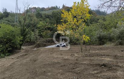 İZNİK DERBENT'TE 47M YOLA CEPHELİ YATIRIMLIK SATILIK ZEYTİNLİK