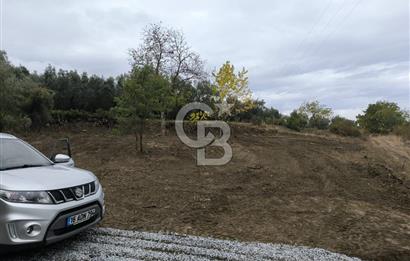 İZNİK DERBENT'TE 47M YOLA CEPHELİ YATIRIMLIK SATILIK ZEYTİNLİK