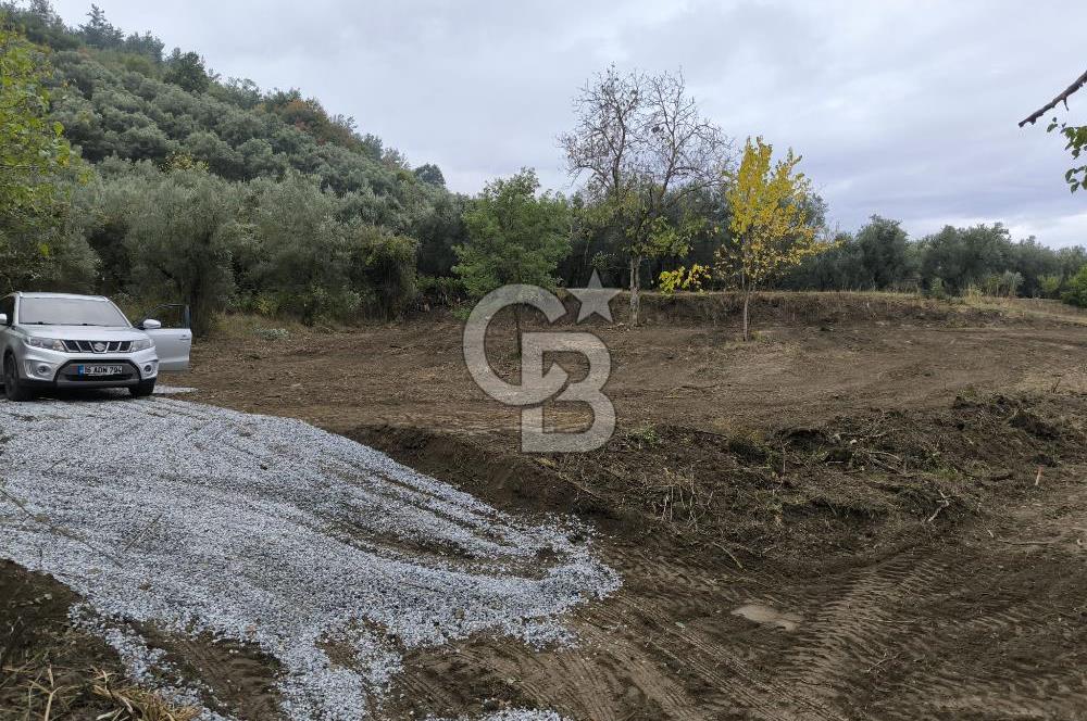 İZNİK DERBENT'TE 47M YOLA CEPHELİ YATIRIMLIK SATILIK ZEYTİNLİK