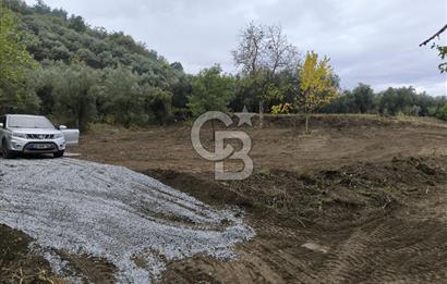İZNİK DERBENT'TE 47M YOLA CEPHELİ YATIRIMLIK SATILIK ZEYTİNLİK