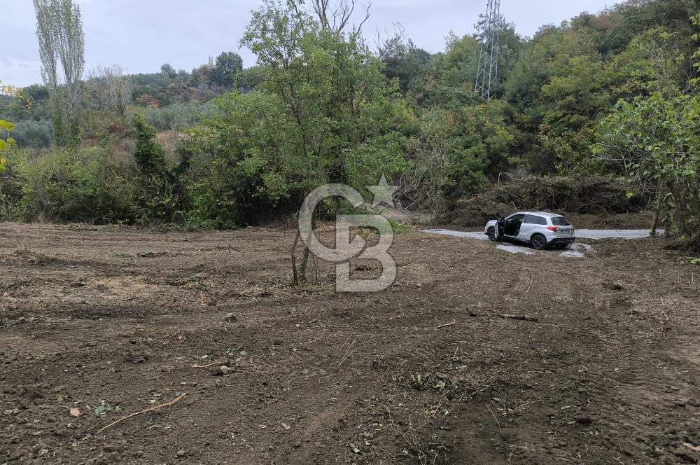 İZNİK DERBENT'TE 47M YOLA CEPHELİ YATIRIMLIK SATILIK ZEYTİNLİK
