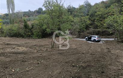 İZNİK DERBENT'TE 47M YOLA CEPHELİ YATIRIMLIK SATILIK ZEYTİNLİK