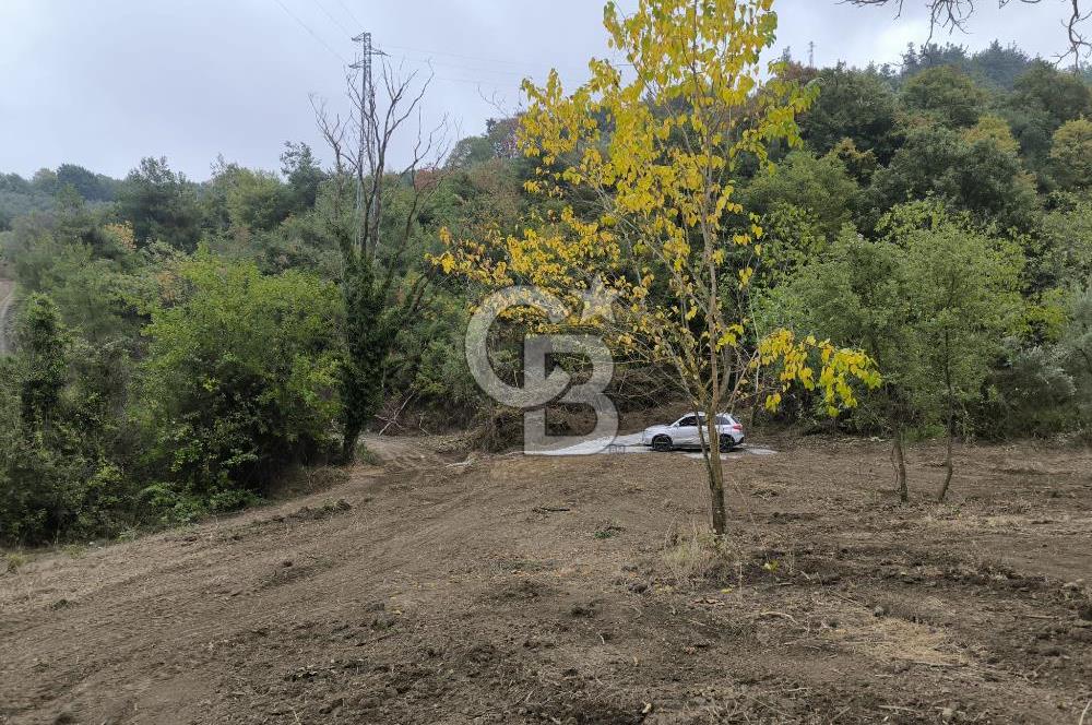 İZNİK DERBENT'TE 47M YOLA CEPHELİ YATIRIMLIK SATILIK ZEYTİNLİK