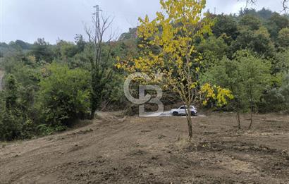 İZNİK DERBENT'TE 47M YOLA CEPHELİ YATIRIMLIK SATILIK ZEYTİNLİK
