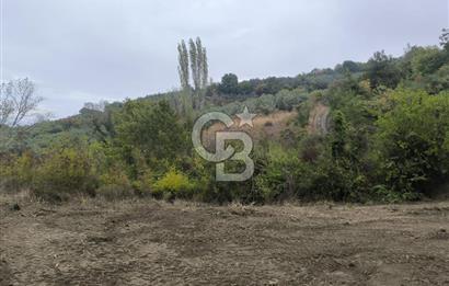 İZNİK DERBENT'TE 47M YOLA CEPHELİ YATIRIMLIK SATILIK ZEYTİNLİK
