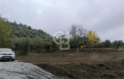 İZNİK DERBENT'TE 47M YOLA CEPHELİ YATIRIMLIK SATILIK ZEYTİNLİK