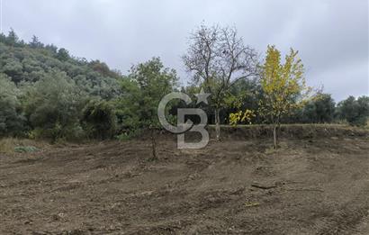 İZNİK DERBENT'TE 47M YOLA CEPHELİ YATIRIMLIK SATILIK ZEYTİNLİK
