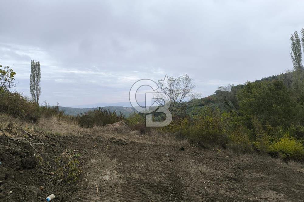 İZNİK DERBENT'TE 47M YOLA CEPHELİ YATIRIMLIK SATILIK ZEYTİNLİK