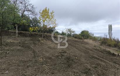 İZNİK DERBENT'TE 47M YOLA CEPHELİ YATIRIMLIK SATILIK ZEYTİNLİK