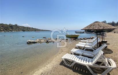 Kıyıkışlacık İasos Yeşilyaka Sitesi 3+1 Müstakil Bahçeli Eşyalı