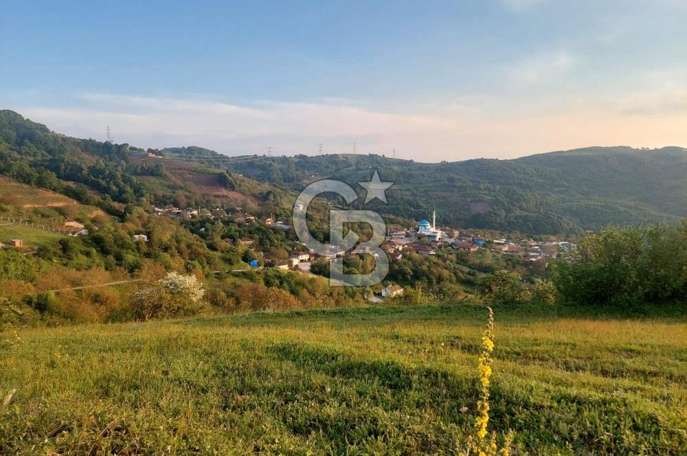 YATIRIMA uygun RUHSATLI ARSA HAZIRDA 2 ADET OBA EVİ VE CEVİZ AĞAÇLARI