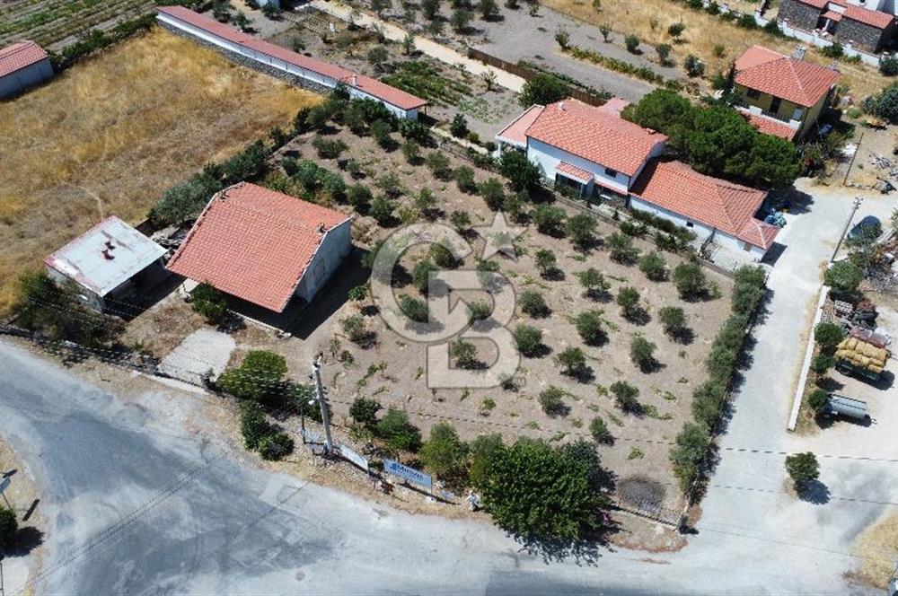 Barbaros Köy Girişinde Köşe Konumlu Arsa