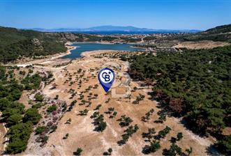 DELİKTAŞTA DOĞA İLE İÇ İÇE 300 M² KOOPERATİF HİSSELİ ZEYTİNLİK