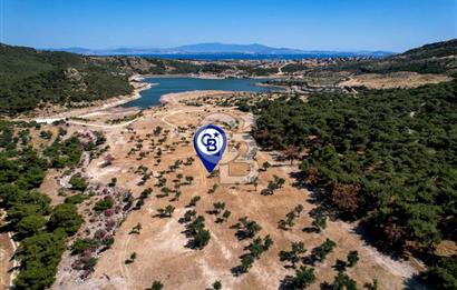 DELİKTAŞTA DOĞA İLE İÇ İÇE 300 M² KOOPERATİF HİSSELİ ZEYTİNLİK