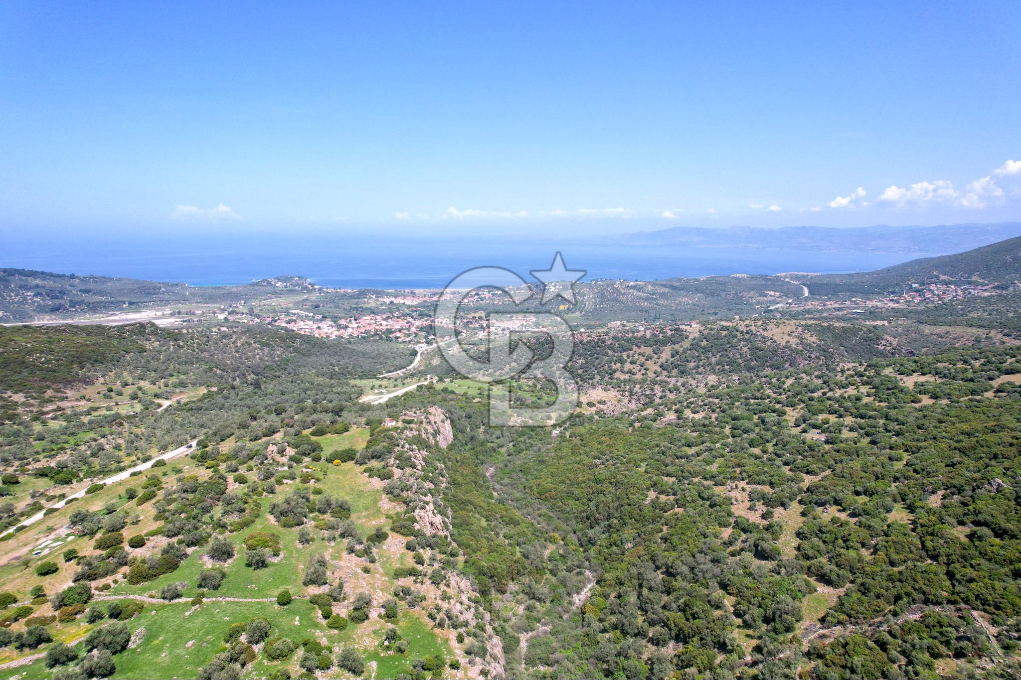 BADEMLİ'DE DENİZ MANZARALI ZEYTİNLİK TARLA