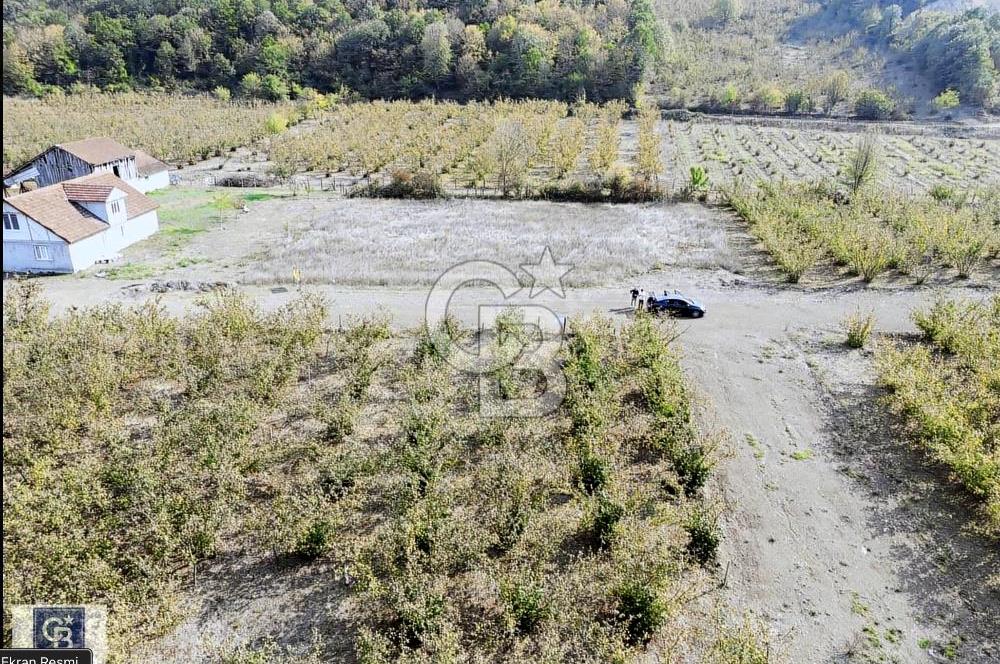 CB TOWER'DAN DÜZCE CUMAYERİNDE SATILIK 518 M2 KÖŞE PARSEL ARSA.