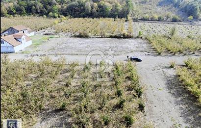 CB TOWER'DAN DÜZCE CUMAYERİNDE SATILIK 518 M2 KÖŞE PARSEL ARSA.