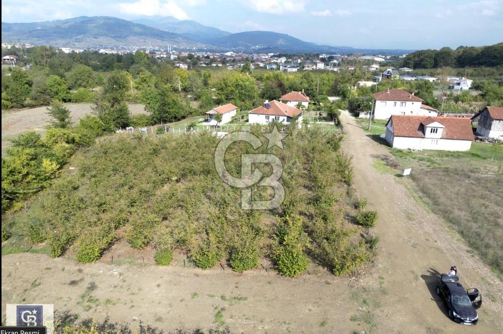 CB TOWER'DAN DÜZCE CUMAYERİNDE SATILIK 518 M2 KÖŞE PARSEL ARSA.