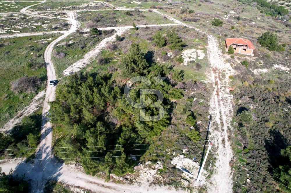 ÇANDARLI ELELE KOOPERATİFİNDE SATILIK ARSA